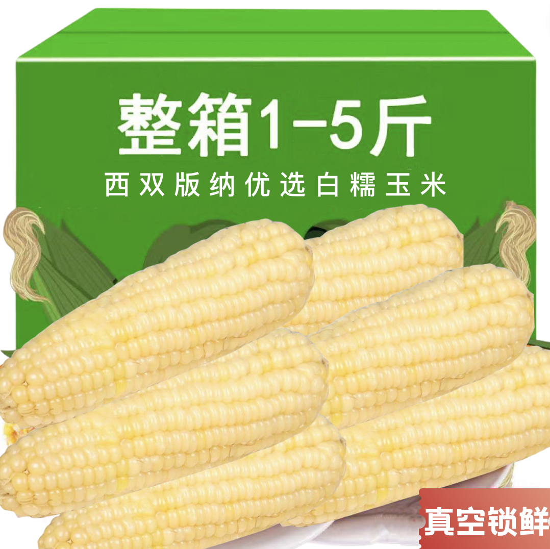 【产地直发】优质西双版纳白糯玉米香甜软糯新鲜采摘开袋即食免煮