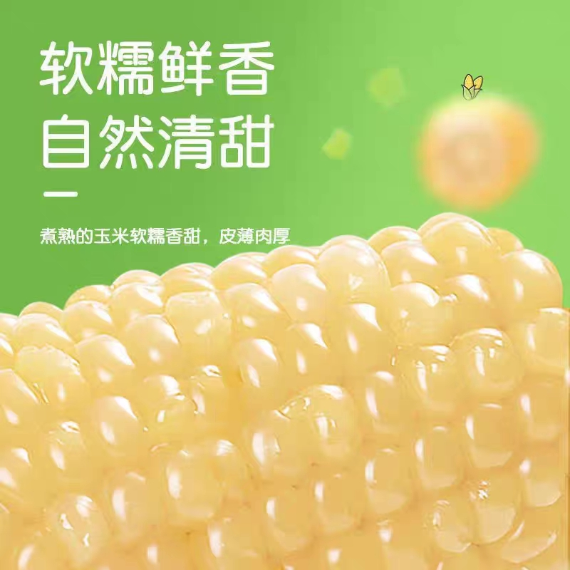 【亏米价】23年大白糯玉米直播间买8送2棒   整箱5.5斤  试吃一根