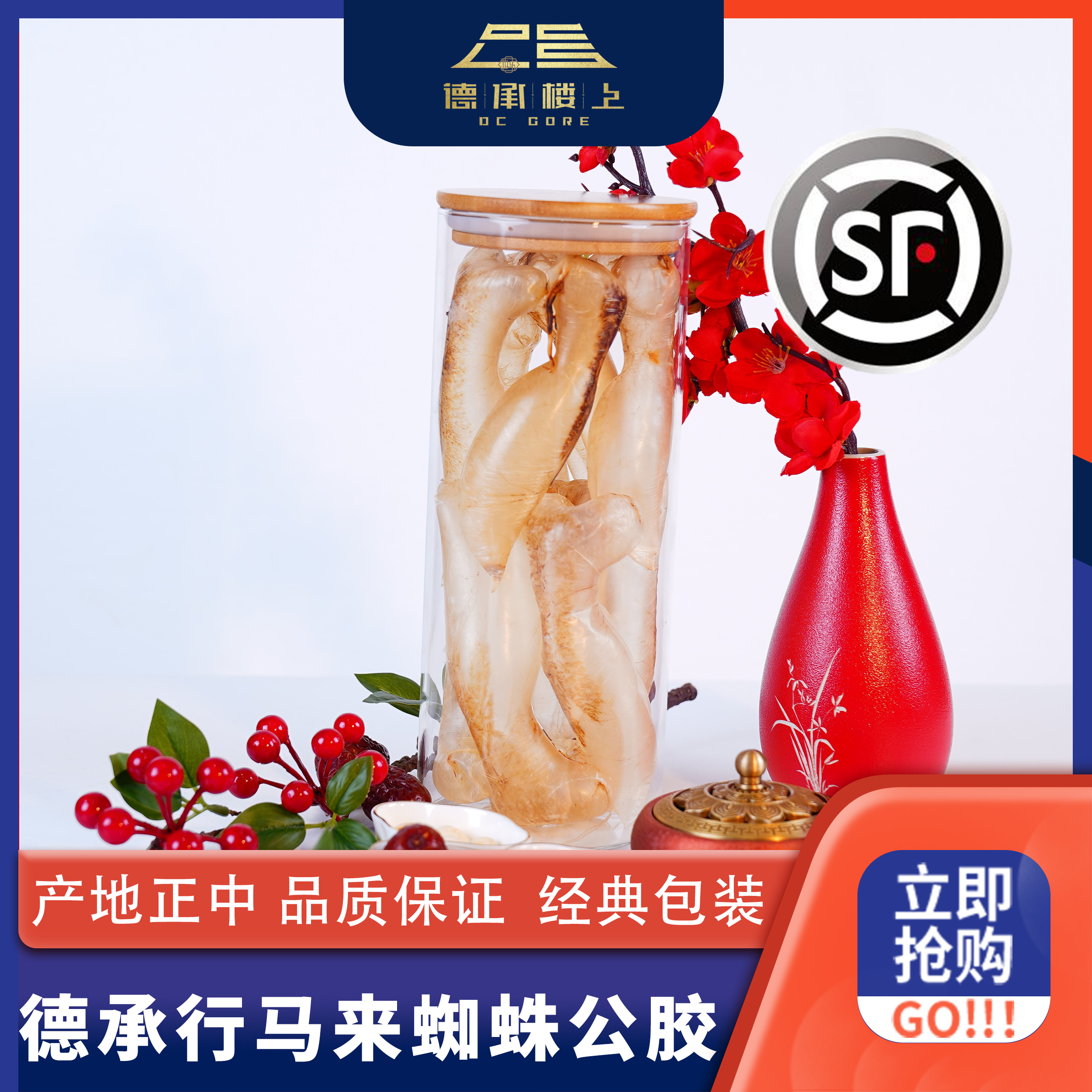 【德承行双11囤货专享】广东马来蜘蛛公颜值不高
