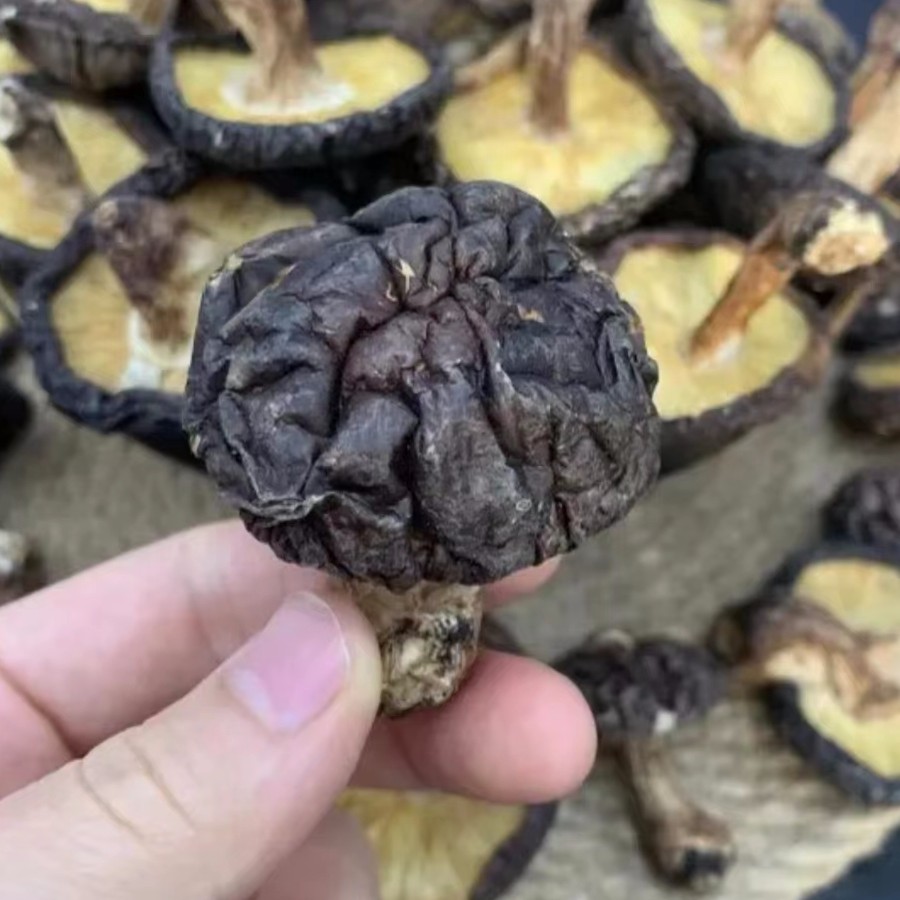 东北椴木香菇干货250克