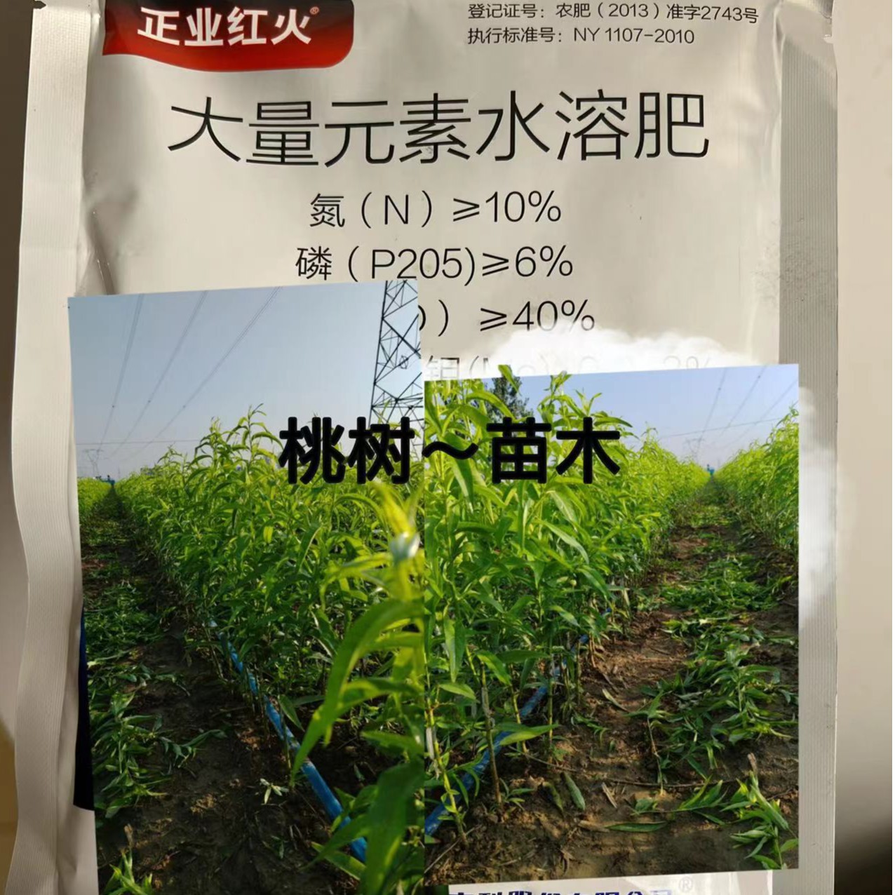 叶面肥，（桃品种，）各种新品系