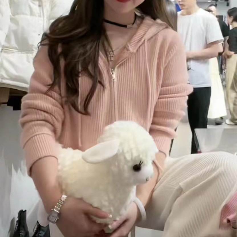 （叶子服饰）秋冬新款加厚带帽简约拉链毛衫毛衣外套2322