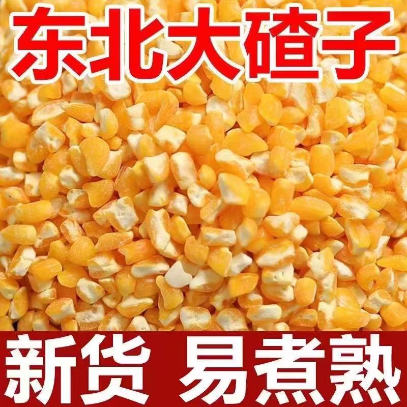 东北农家自产大碴子新玉米大碴粥大粒五谷杂粮珍子笨玉米碴子
