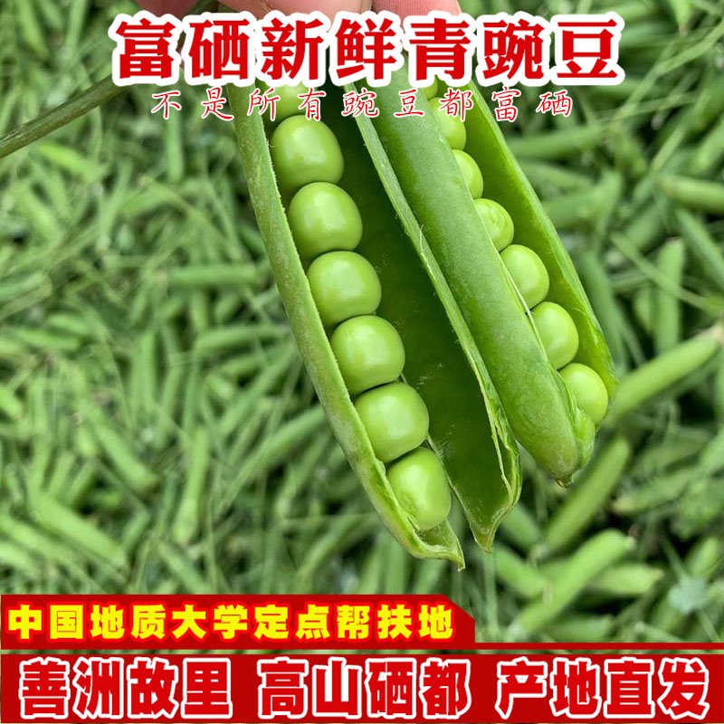 富硒甜脆长寿豌豆荚高山新鲜露天农家种植豌豆发货空运饱满香甜