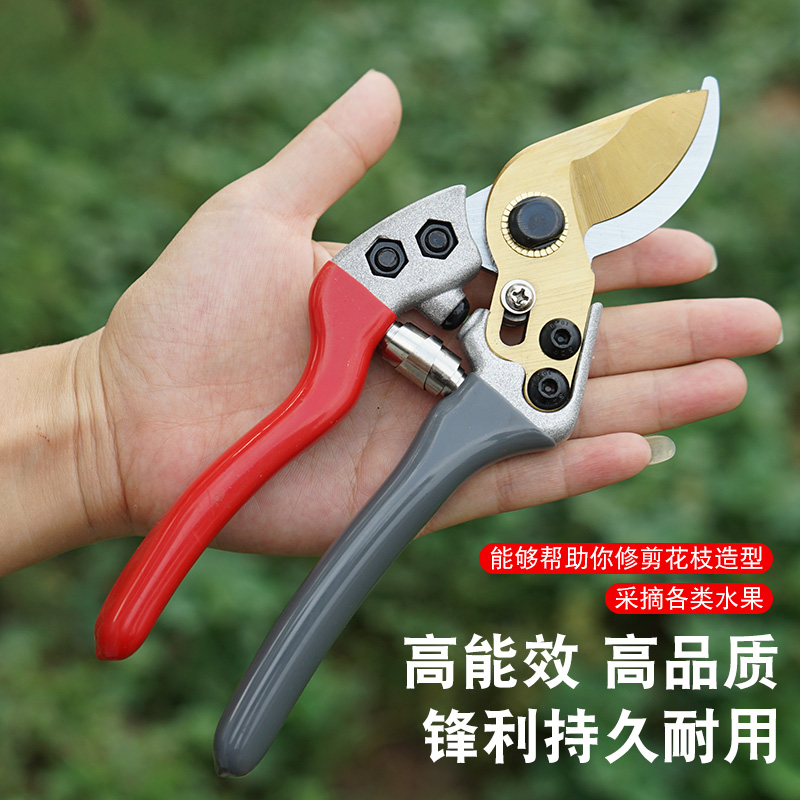 德国进口sk5钢园艺剪剪枝剪刀省力修剪枝果树粗枝树枝剪.
