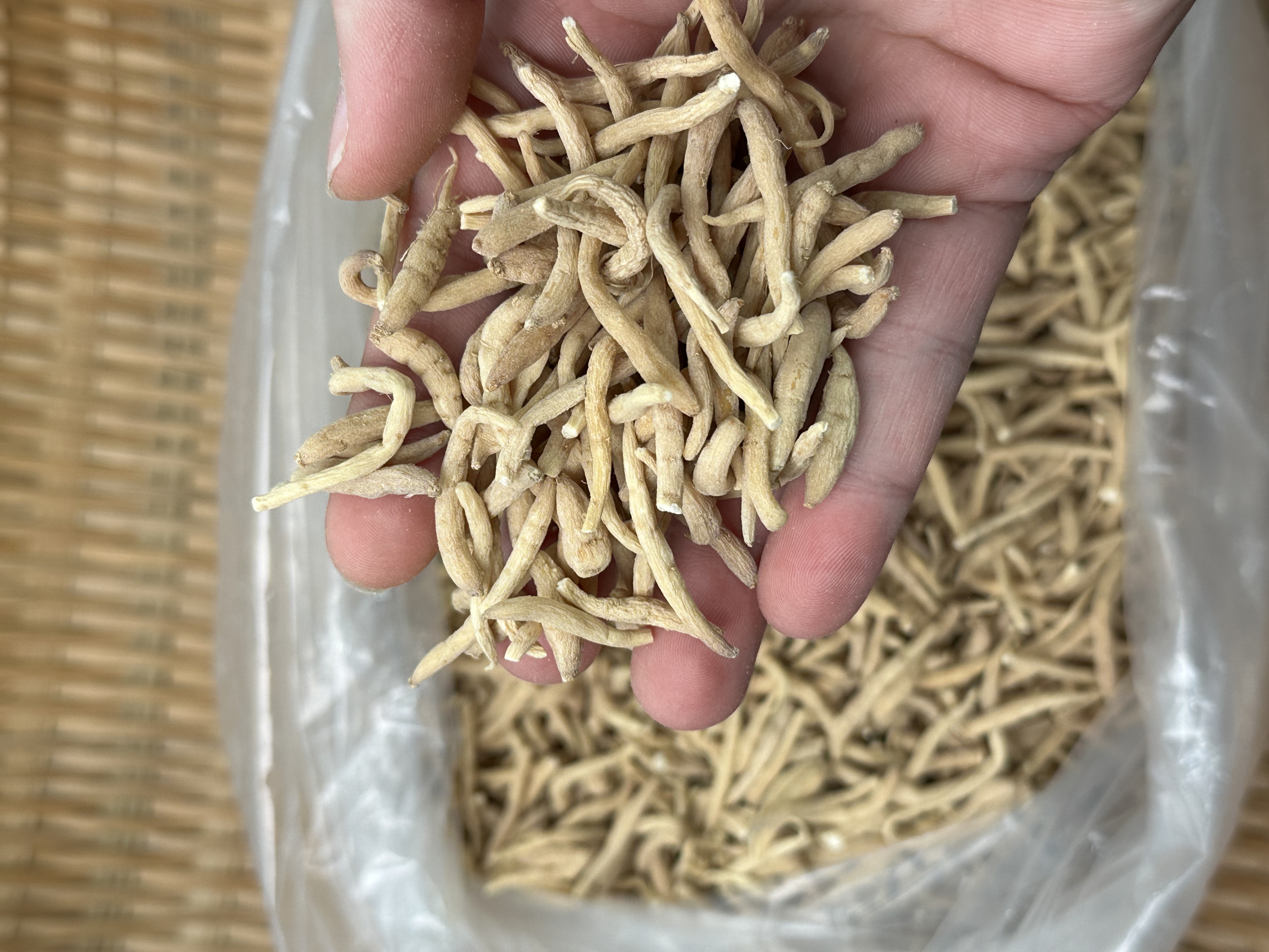 粤北本地无硫 太子条 煲汤煲水泡水食用 250g起拍