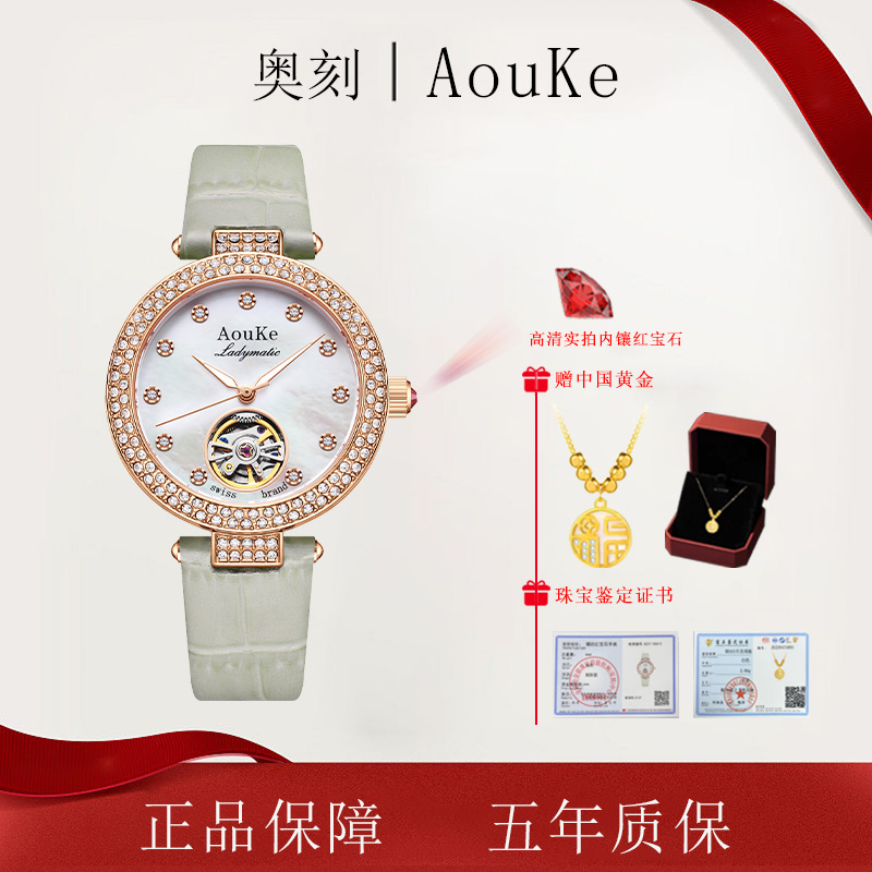 AOUKE/奥刻新款轻奢时尚潮流百搭女士机械腕表kk223-HX