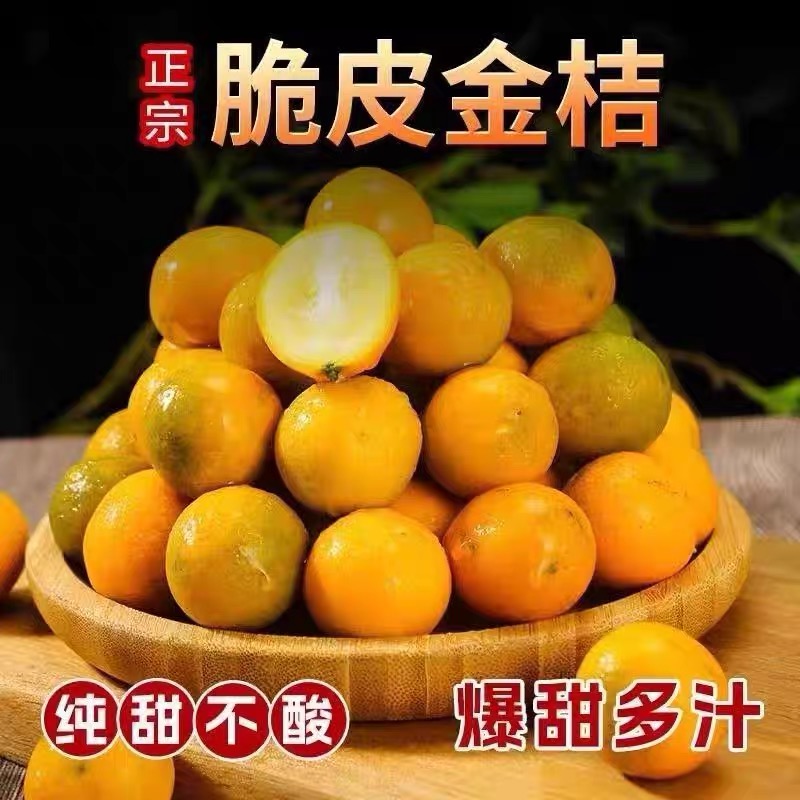 广西 脆皮金桔滑皮金桔3斤装 纯甜无酸小金桔现摘发货