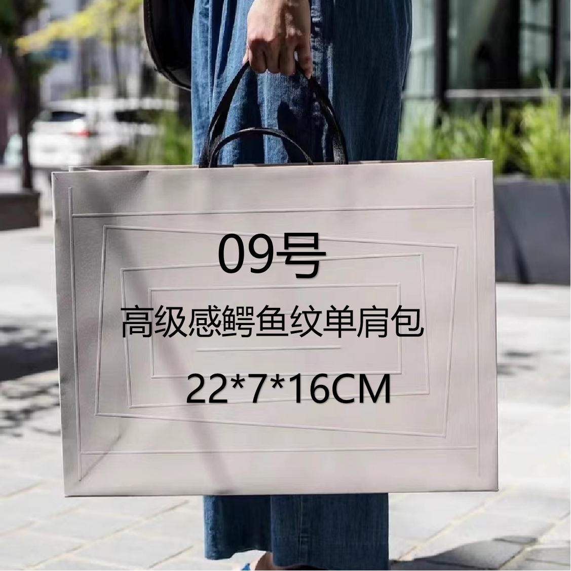 09号 （H）高级感鳄鱼纹单肩包202#