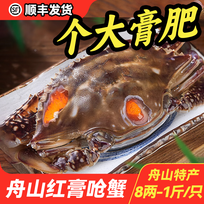 8两-1斤/只 红膏呛蟹 单只装 浙江舟山风味生腌（生吃不可蒸煮）X