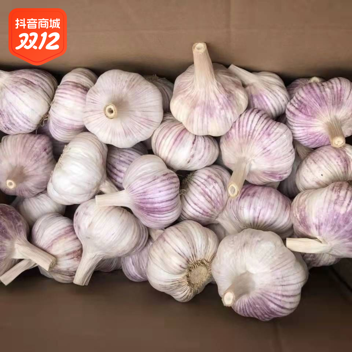 山东大蒜紫皮干蒜5斤新鲜农家100克多瓣大蒜头现挖正宗批发包邮