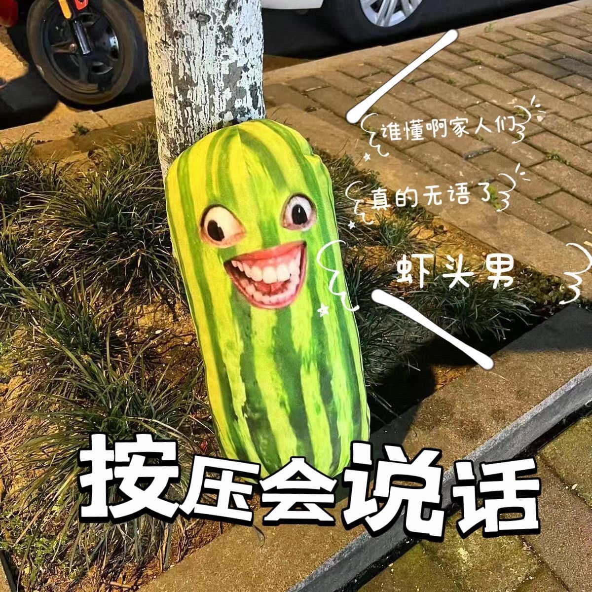 长条西瓜条子爆款按压说话家人们谁懂啊无语死了挂件玩具搞笑抱枕