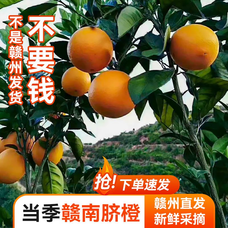 正宗赣南脐橙新鲜水果江西赣州当季多汁手剥甜橙子现摘果冻橙