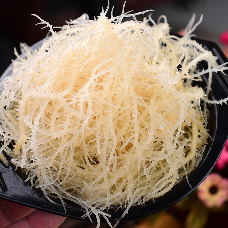 鲜脆龙须菜8包*250g/包海石花海石菜凉拌脆嫩爽口开胃连云港发货