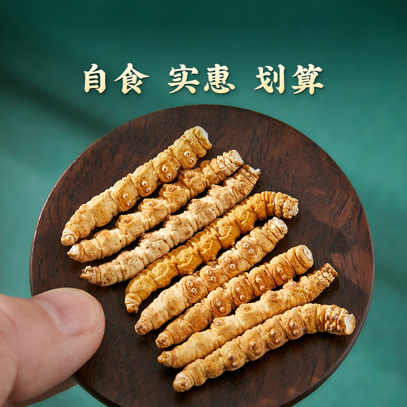 【小胖虫草专属】冬虫夏草10克断草虫草正品送礼高海拔虫草