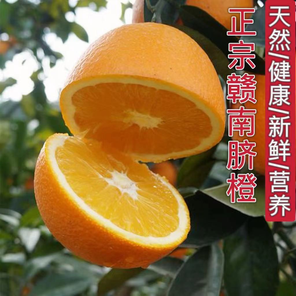 10斤中果/大果正宗赣南脐橙精品橙子多汁应季水果自然成熟新鲜采.