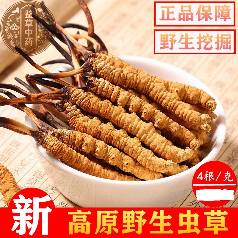 【大虫草】野生虫草正品特级新鲜干货西藏青海甘孜特产送礼