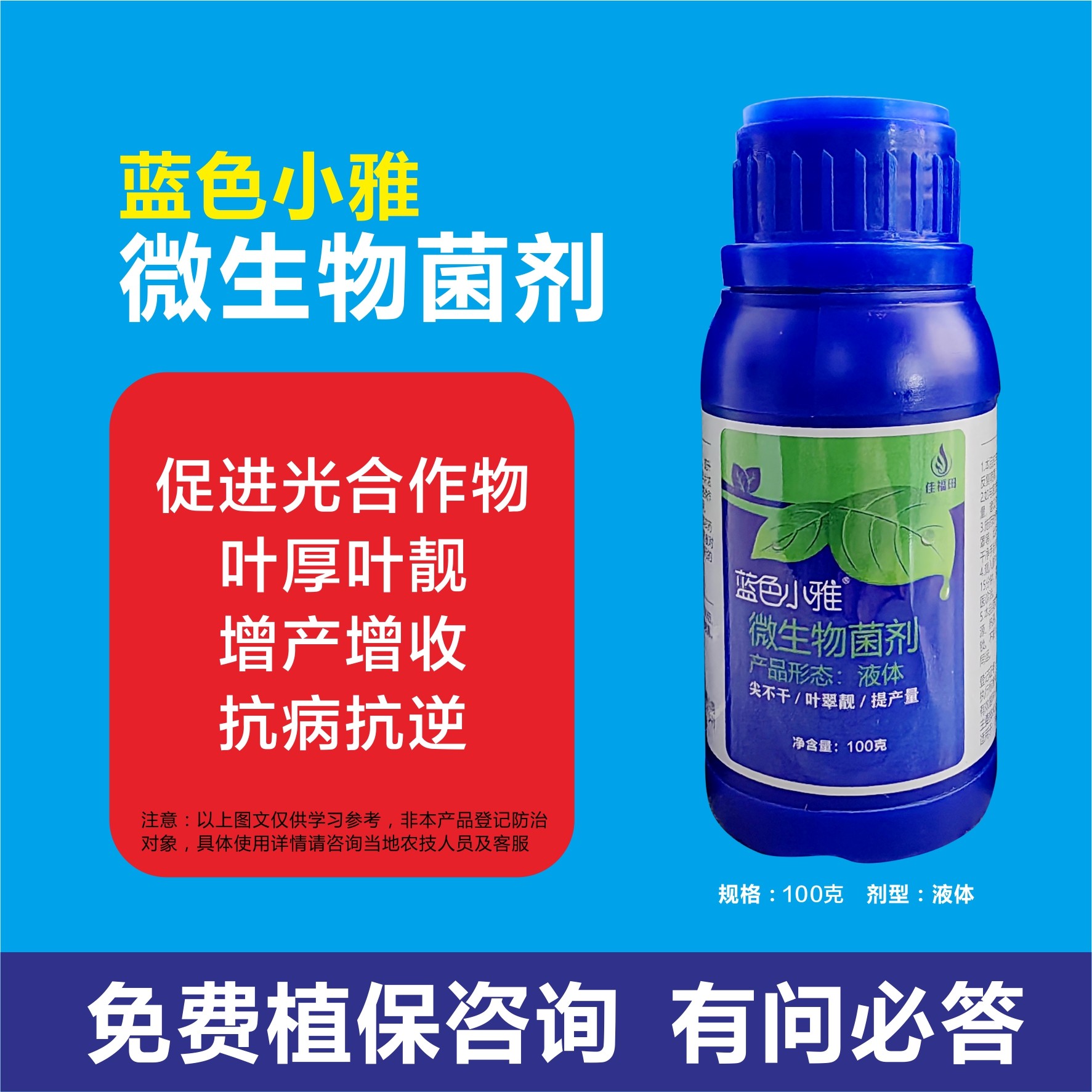 蓝色小雅微生物菌剂促进光合作用叶厚叶靓增产增收果蔬茎块作物