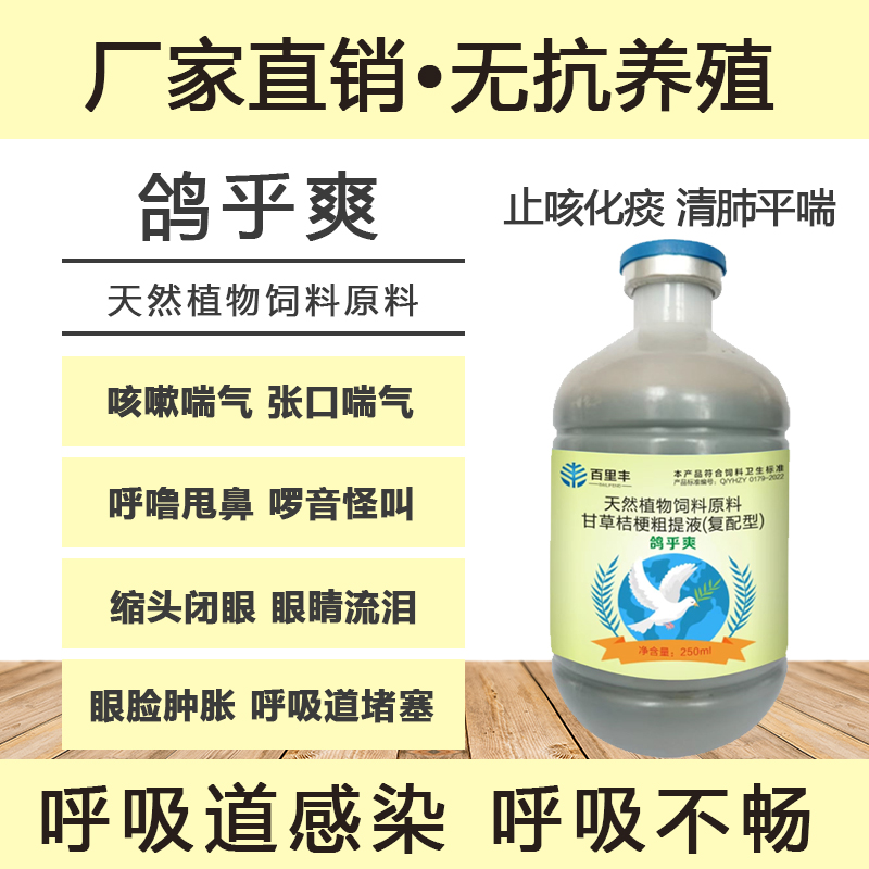 【鸽子，鸽乎爽】通呼吸道