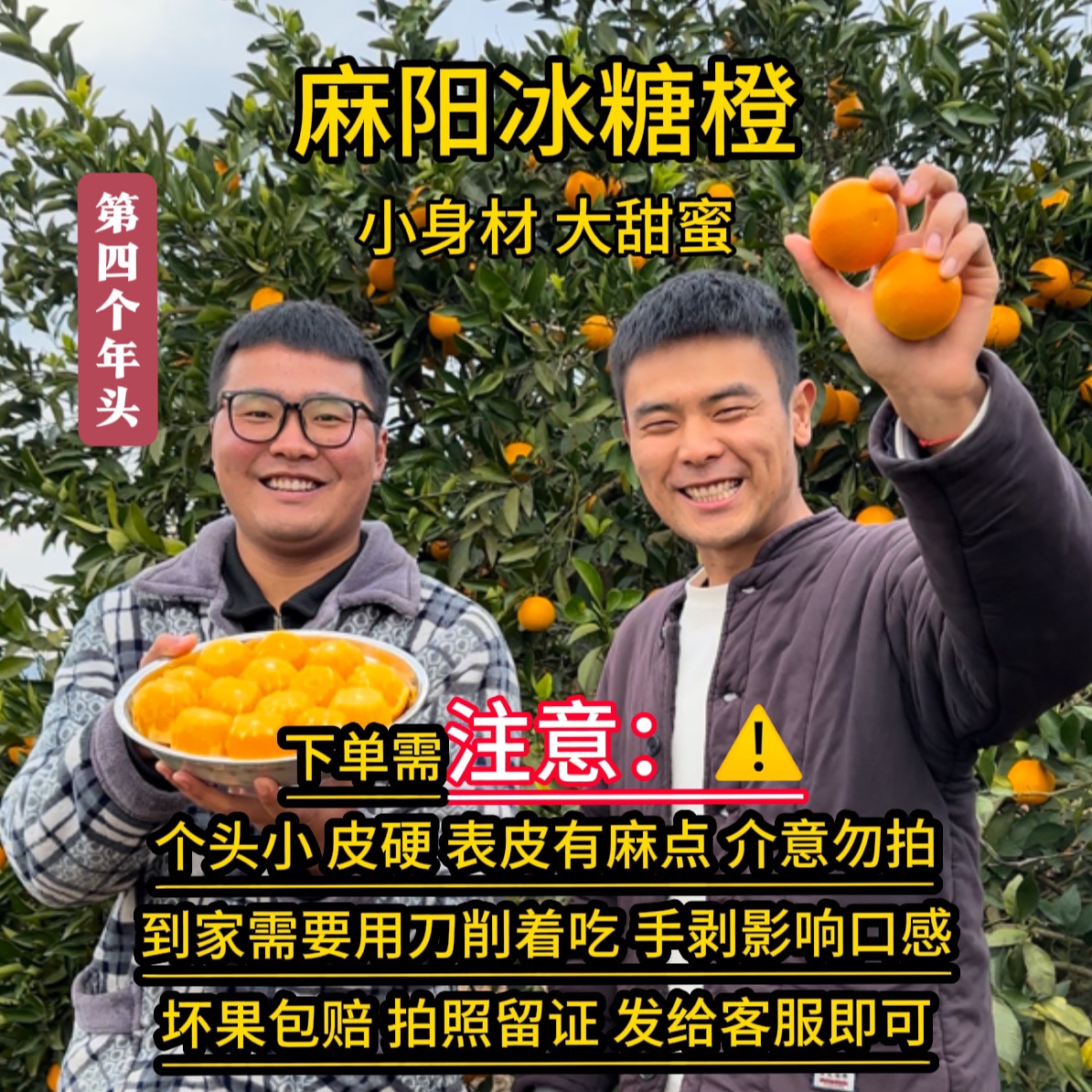 【山西预售链接】正宗麻阳冰糖橙新鲜现摘现发9斤装「保温箱发货」
