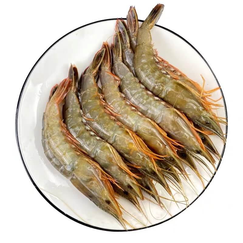 【霞浦海鲜】滑皮虾/剑虾 新鲜海捕海鲜剑虾/滑皮虾  冷链空运运输