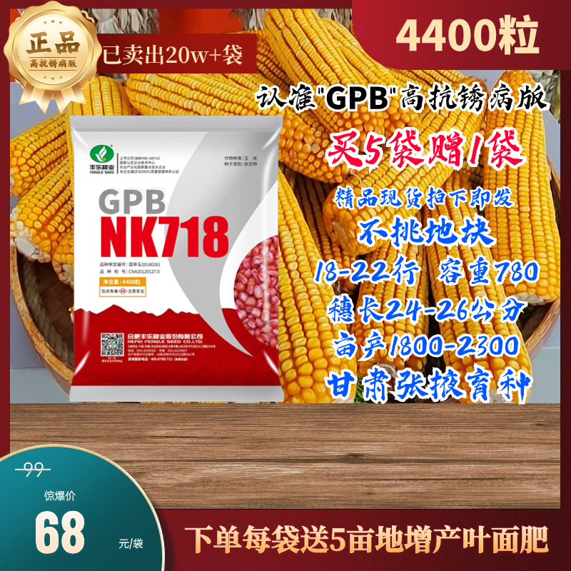 2丰乐GPB718高抗锈病版4400粒抗旱耐涝不挑地块下单赠送叶面肥