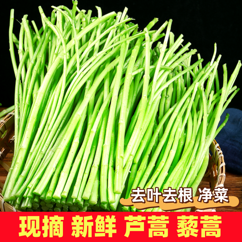 农家自种精选蔬菜嫩芦蒿杆子藜蒿黎蒿去叶老根净菜柳泥蒿野菜新鲜