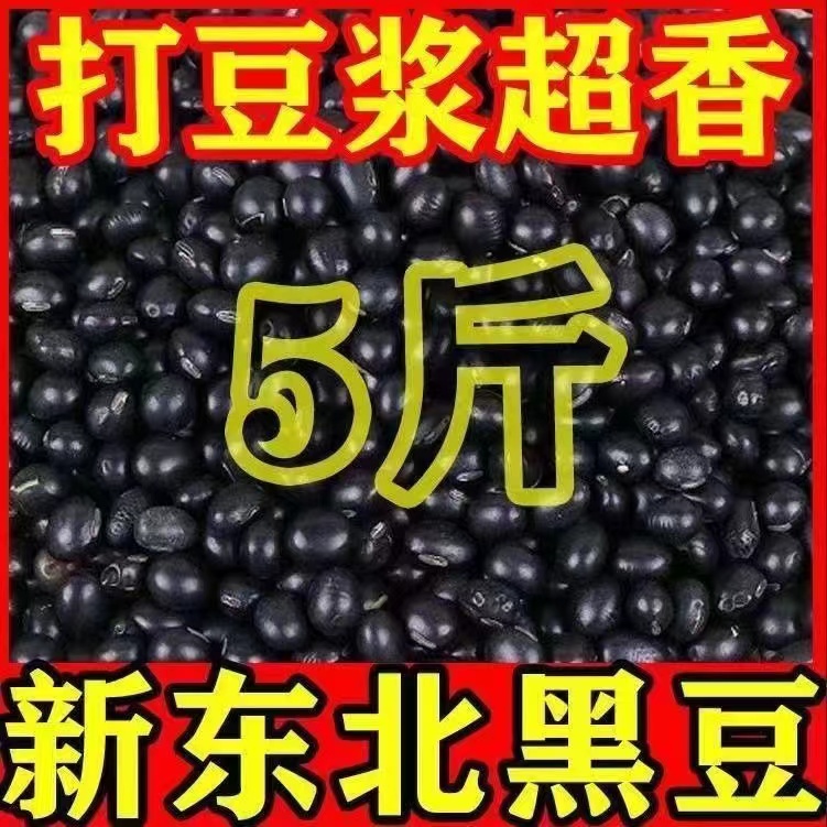 【半价抢5斤】东北新黑豆非转基因黄心黑豆打豆浆泡醋专用50g