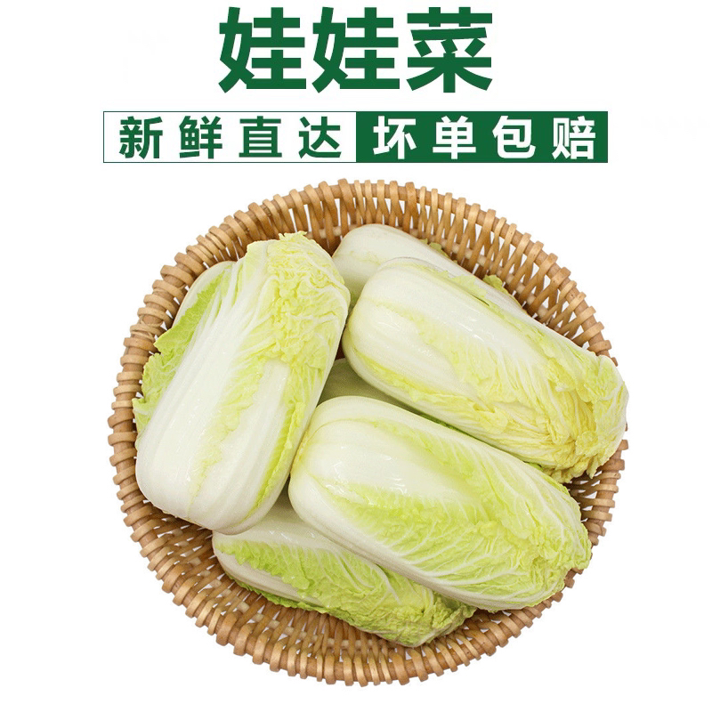 【助农G】新鲜现挖黄心大娃娃菜5斤装脆嫩多汁黄芽菜