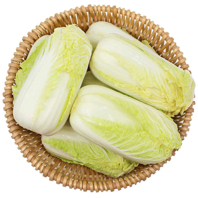【助农DN】新鲜现挖黄心大娃娃菜5斤装脆嫩多汁黄芽菜