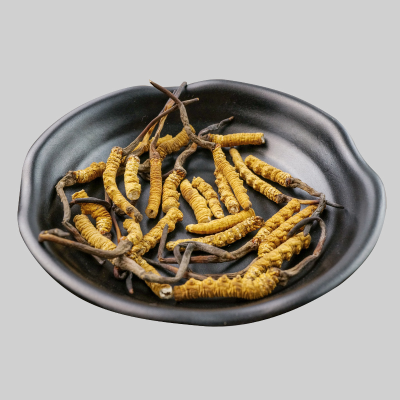 【虫草弟】粉丝福利 高海拔冬虫夏草1克断草