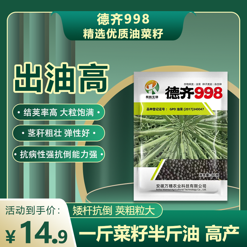 德齐998杂交种油菜籽 矮杆耐倒荚粗粒大出油率高适应性强 一袋80g
