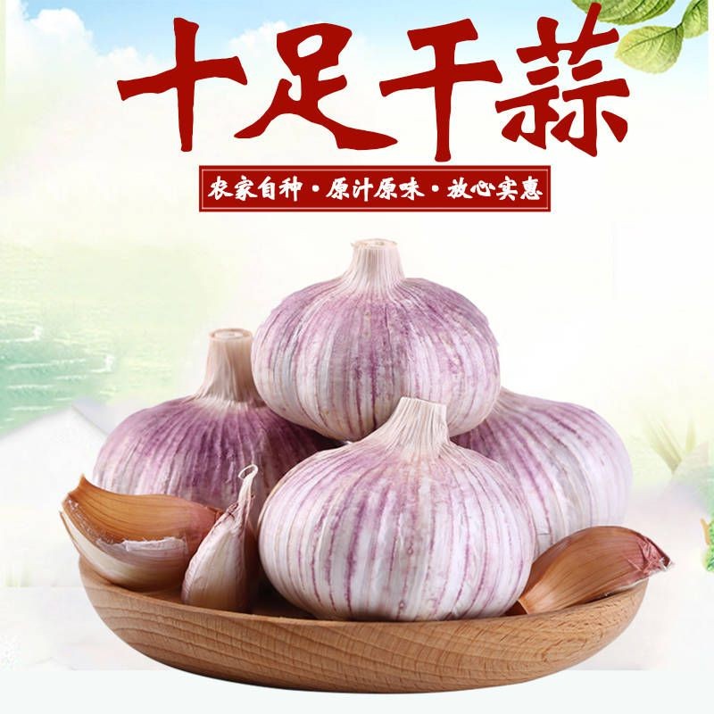 【精选大蒜】2023新干蒜农家种植紫白皮大蒜头100克3斤5斤9斤基地
