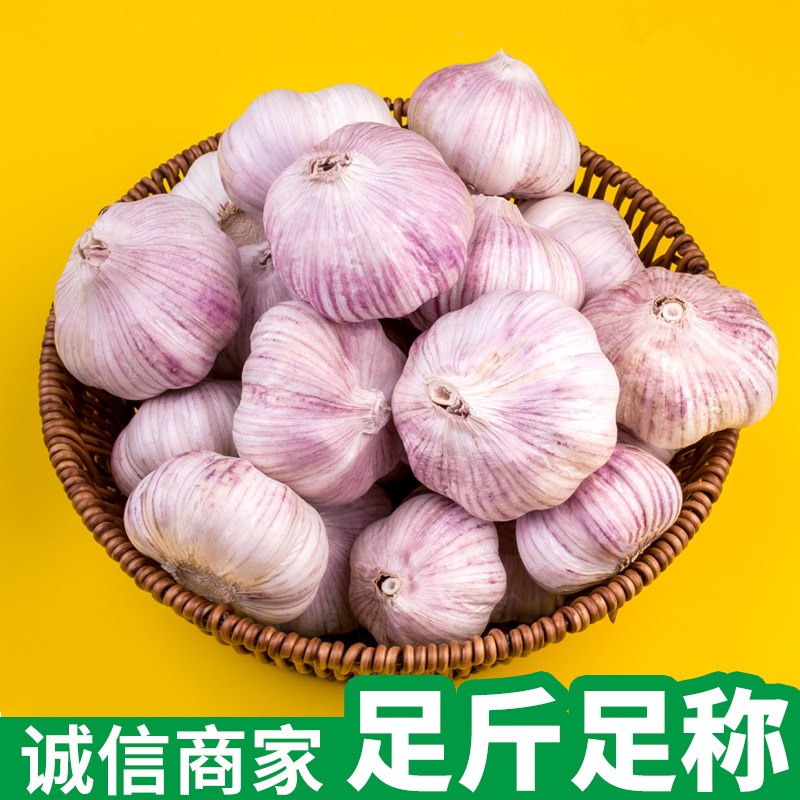 2023年精选新干蒜干大蒜头新鲜辛辣十足50g/5斤/产地直发辣味食用