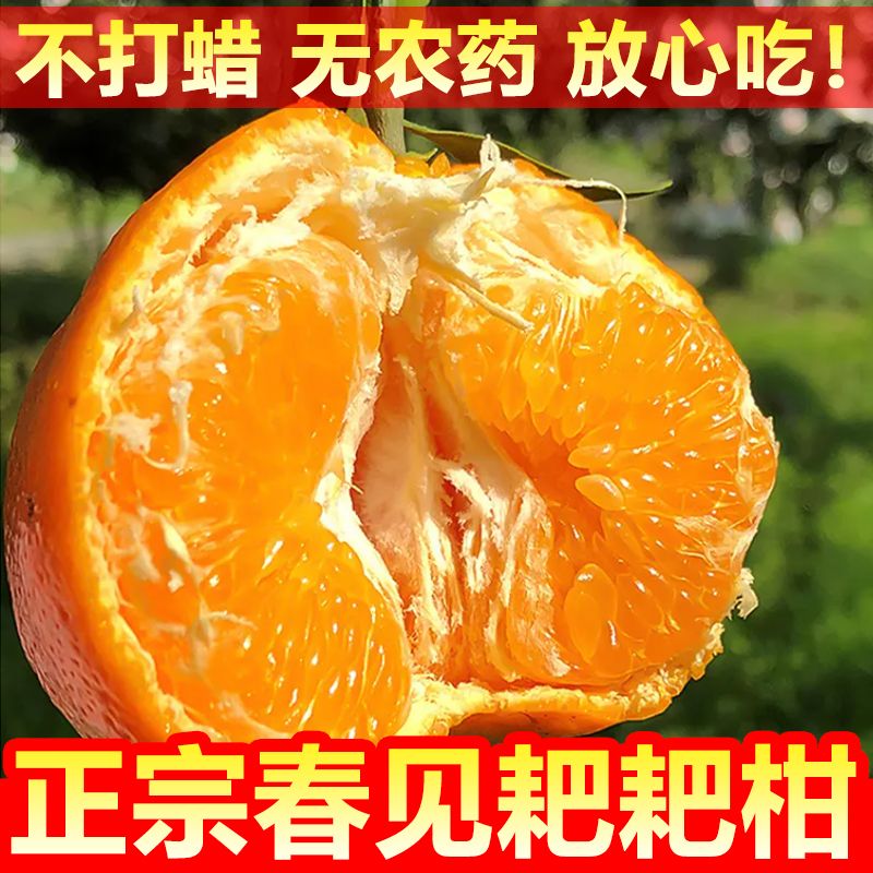 四川春见耙耙柑粑粑柑正宗整箱橘子水果丑橘桔子丑桔丑八怪新鲜甜