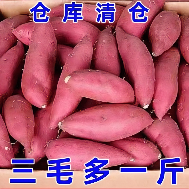 【抢购中】超甜新鲜沙地蜜薯1-10斤烤红薯黄心板栗薯地瓜干番薯烟