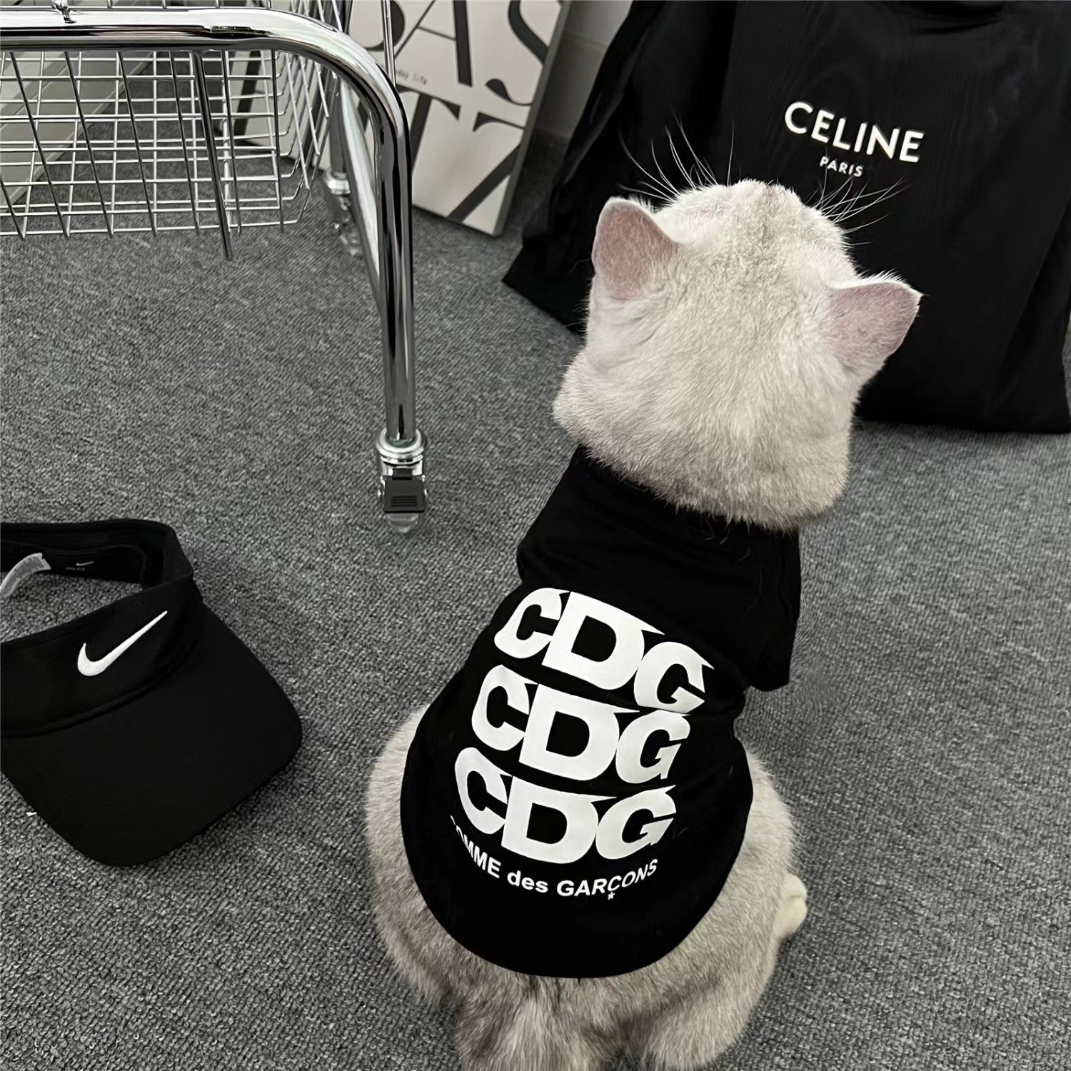 狗狗猫咪秋季衣服泰迪比熊牧柴犬型犬猫衣服网红同款潮服宠物衣服