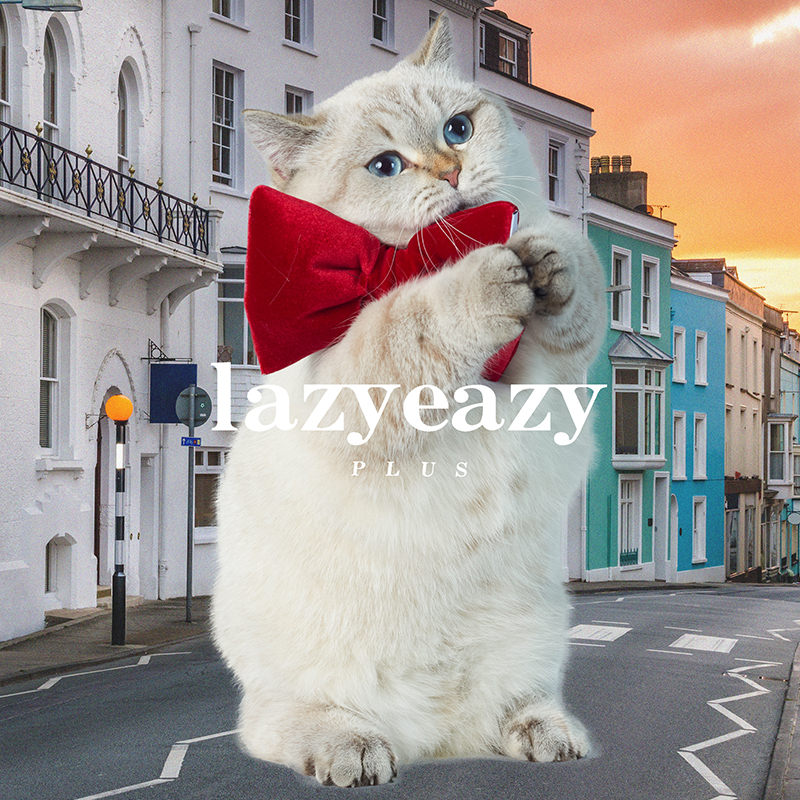 LazyEazy宠物小猫狗丝绒蝴蝶结节日领结气氛可调节充棉可爱