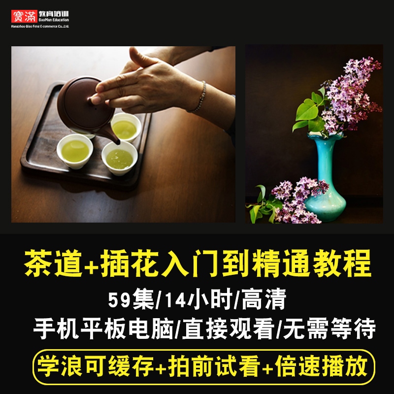 茶道/插花视频教程 茶艺/花艺教学泡茶茶文化零基础自学在线课程