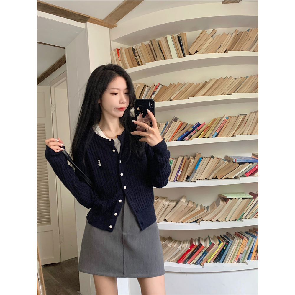 学院风针织开衫外套女秋季高级感小个子气质刺绣修身长袖针织上衣