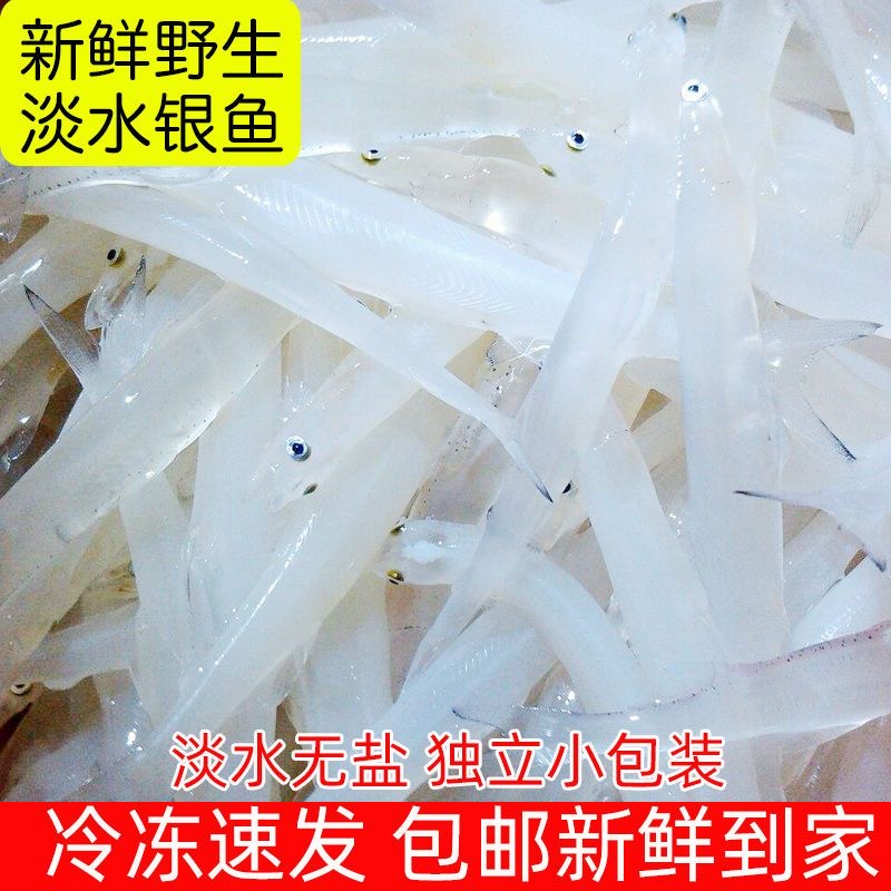 10.25东北吉林特产二龙湖银鱼现捕现发新鲜水产1g试用装