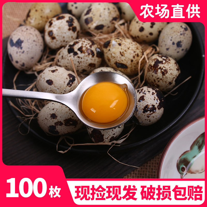 包邮农家现捡现发鹌鹑蛋25-100枚鹌鹑蛋生蛋宝宝辅食食用生鹌鹑蛋