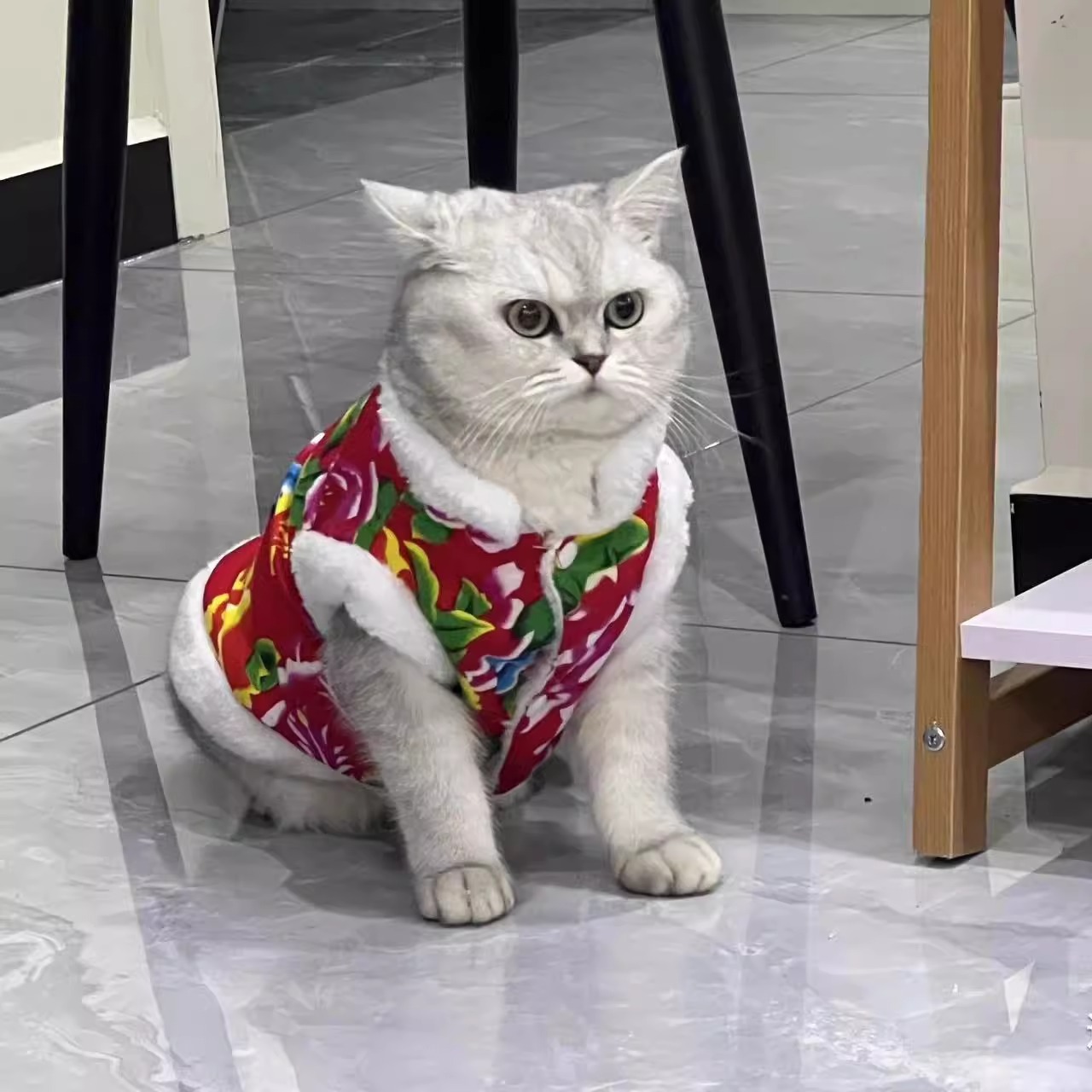 猫咪衣服2023新款秋冬装加绒加厚布偶英短防掉毛东北大花棉袄
