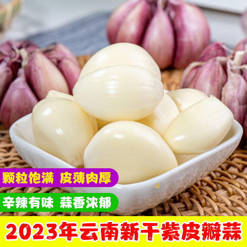 冒喜优农2023云南紫皮多瓣蒜新干蒜头红皮蒜农家大蒜种子1-9斤