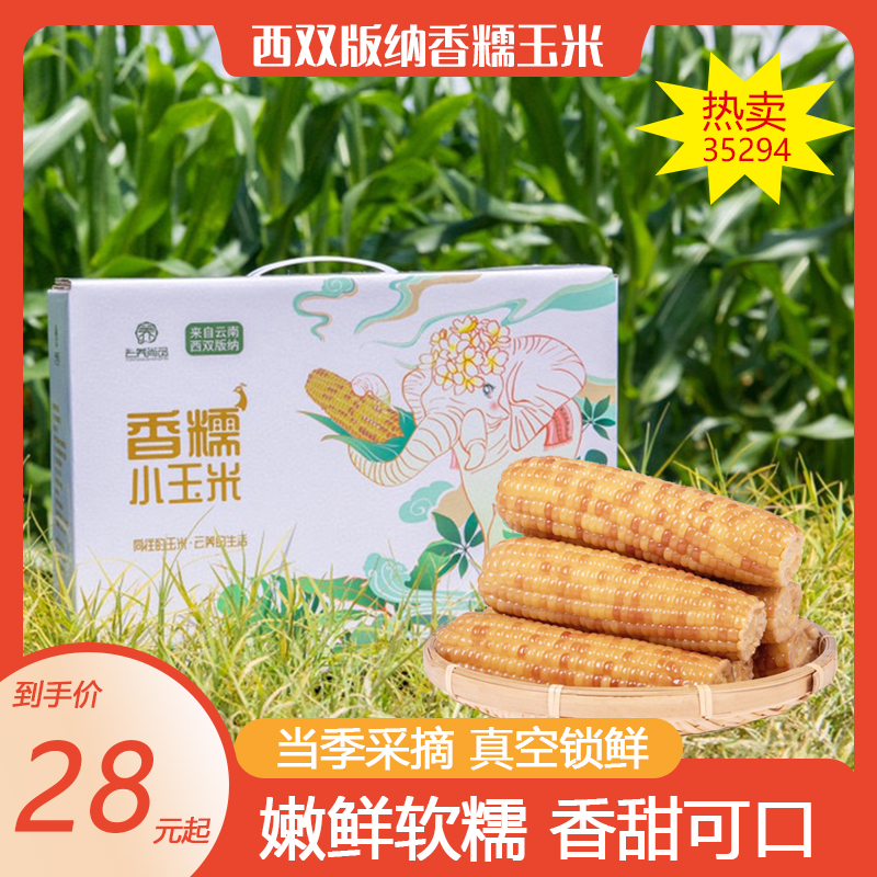 西双版纳特产香糯小玉米新鲜傣家香糯真空包装开袋即食儿童小玉米