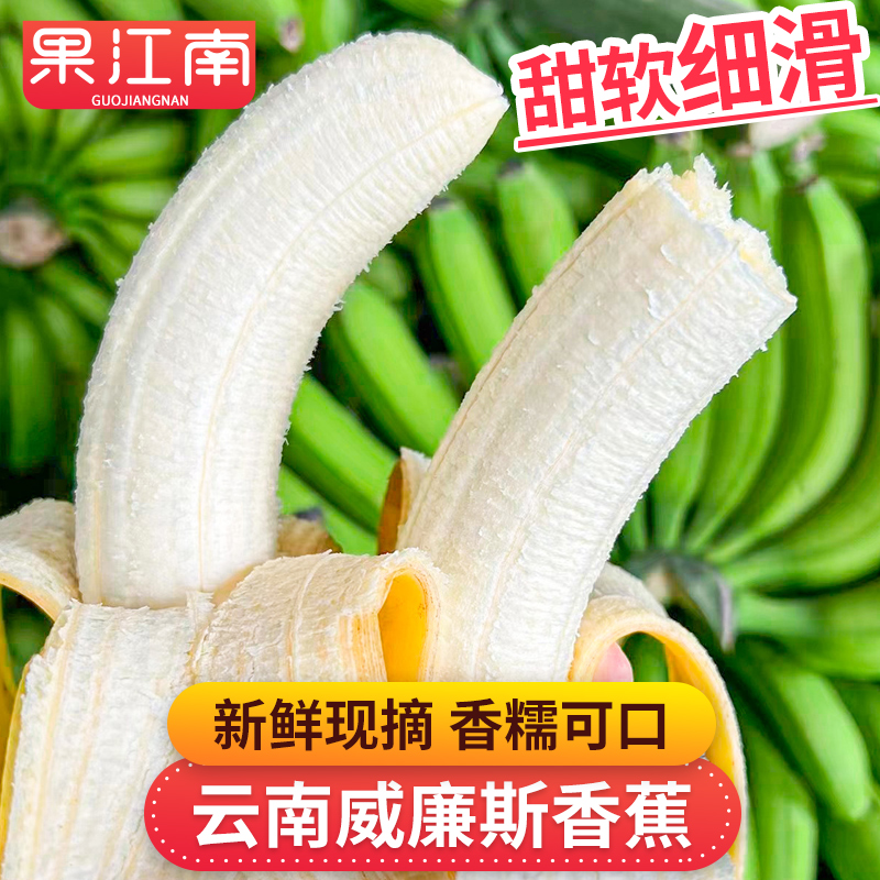 【果江南】云南西双版纳威廉斯香蕉3-9斤甜软细滑 新鲜水果坏果包赔