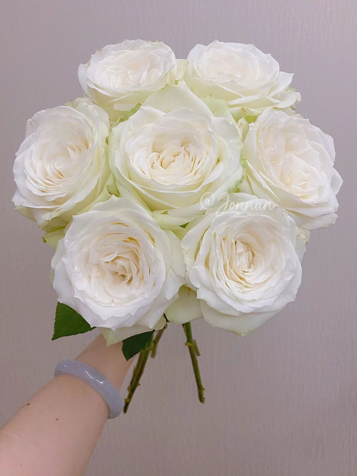 【白雪山】鲜花 玫瑰 居家插花 云南基地直发