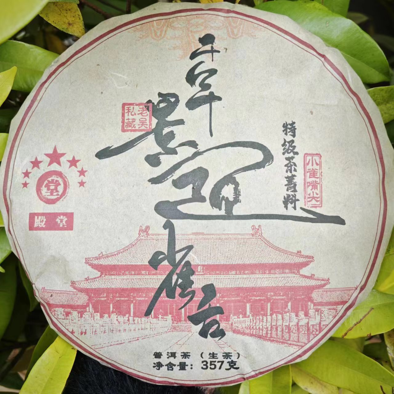 雨腾古茶 七星殿堂千年景迈雀舌小雀嘴尖古树普洱茶357g/饼 生茶