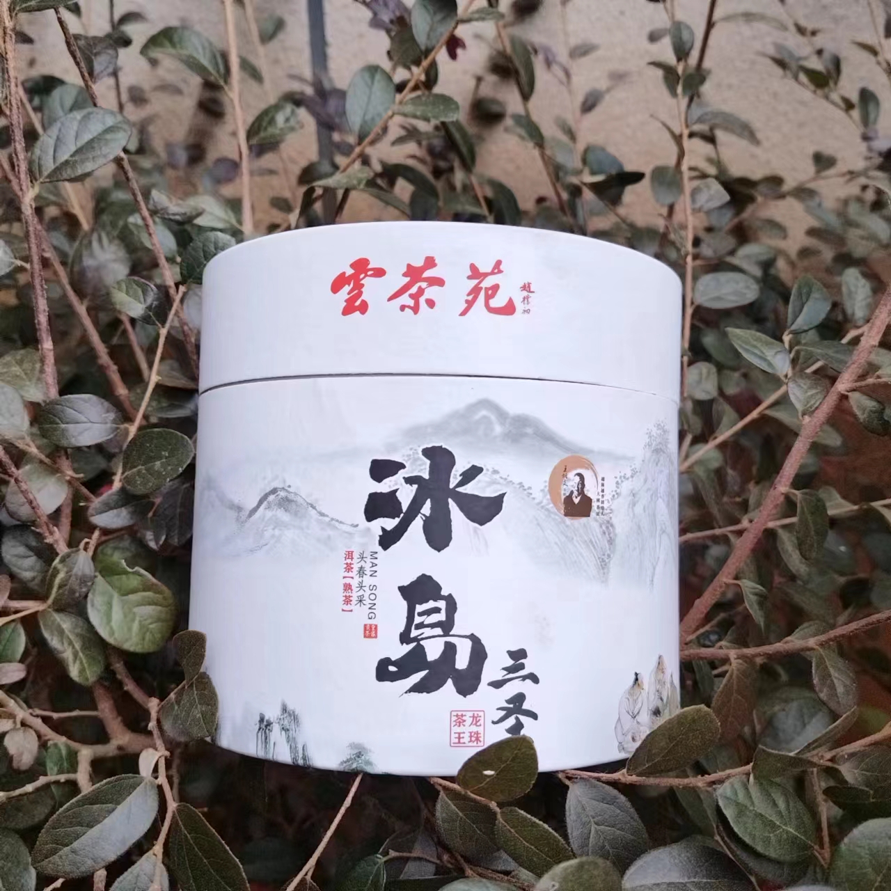 雨腾古茶 WSW亲制冰岛三圣茶王龙珠古树普洱茶7g/个*500g/罐 熟茶