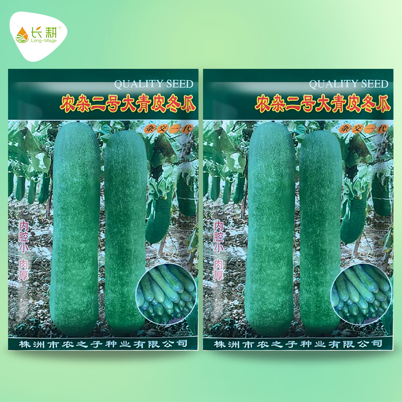 冬瓜种籽特大巨型青皮冬瓜种子农家四季春夏秋瓜果阳台蔬菜种孑苗